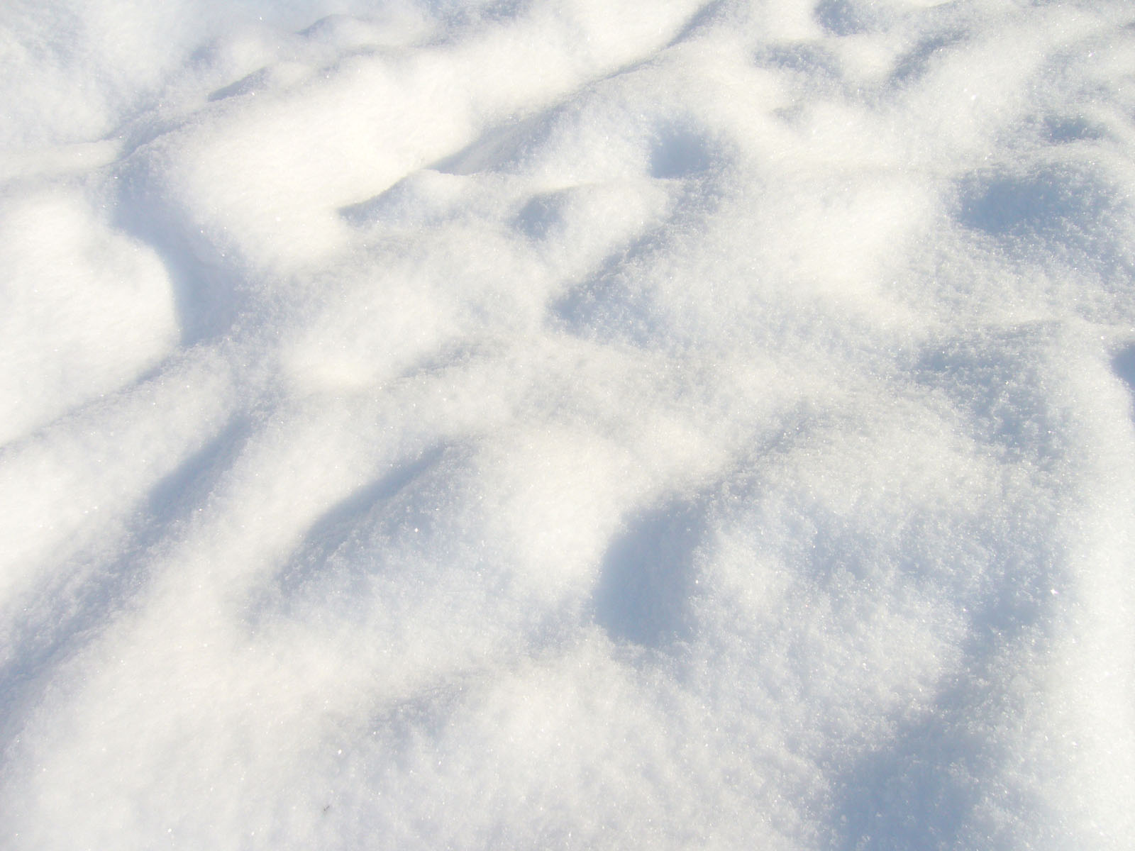 Beautiful clean and soft snow surface - Swirlit